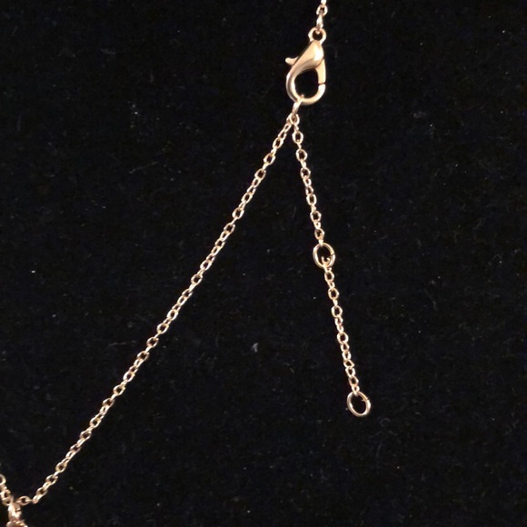 - Western Skull Necklace/Pendant - Picture 5 of 7